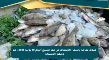 هبوط مفاجئ بأسعار الأسماك في كفر الشيخ اليوم 30 يوليو 2025.. كم وصلت الأسعار؟